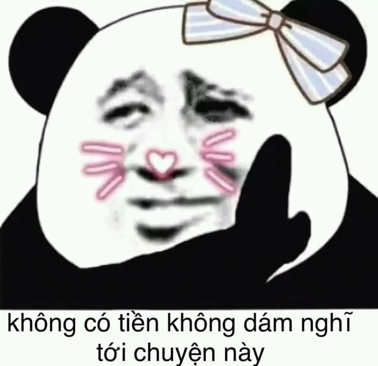 Meme gấu trúc mắt thâm khiến mọi người không thể nhịn cười vì sự đáng yêu.