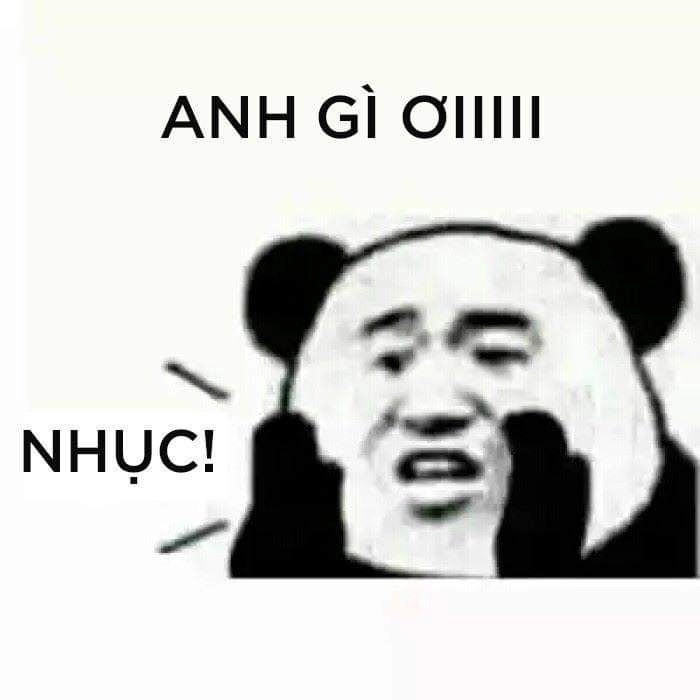 Ảnh meme gấu hài hước khiến mọi người phải cười vì sự dễ thương và đáng yêu.