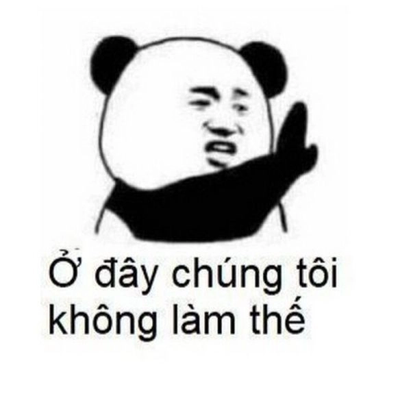 Meme gấu trúc bất ngờ với những biểu cảm cực kỳ lạ và thú vị.