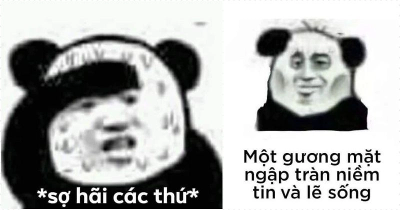 Meme gấu trúc cảm ơn cực kỳ dễ thương và chân thành.