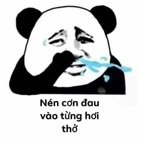 Meme gấu trung quốc đầy sáng tạo và đáng yêu, mang lại cảm giác vui vẻ.