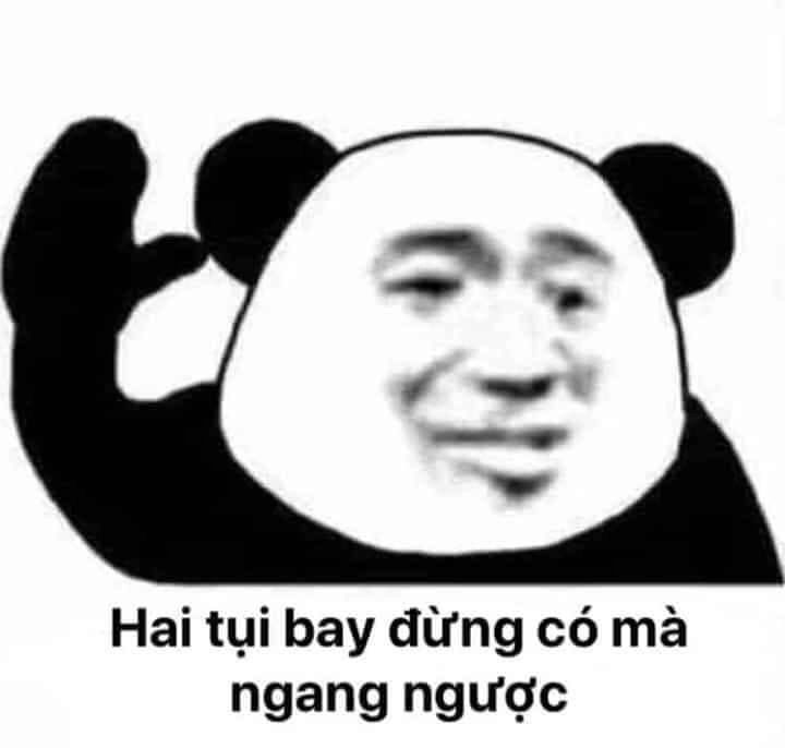 Meme gấu trúc đầy sáng tạo và siêu vui nhộn.