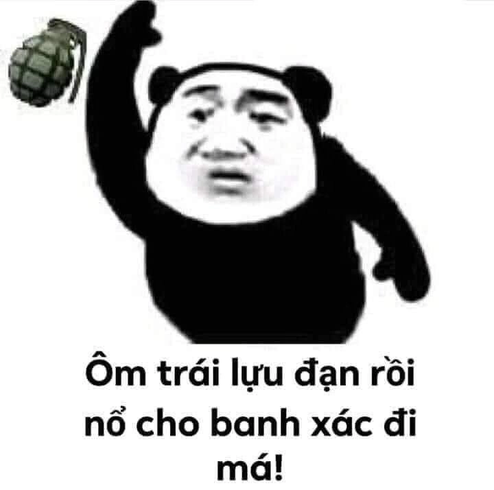 Meme hài gấu trúc cực kỳ lầy lội và hài hước.