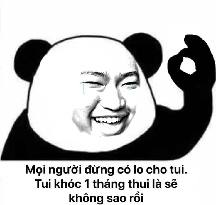 Mặt gấu meme cực kỳ dễ thương và mang lại niềm vui bất ngờ cho người xem.