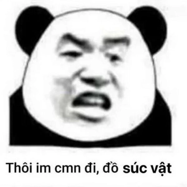 Meme con gấu hồng cực kỳ ngộ nghĩnh và đáng yêu.