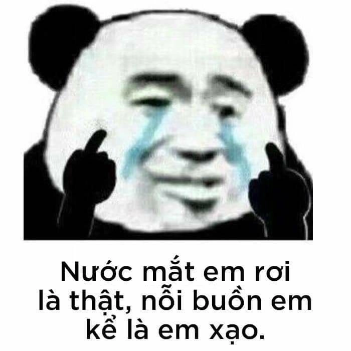 Meme gấu trúc cực kỳ đáng yêu và khiến bạn phải cười mãi không thôi.