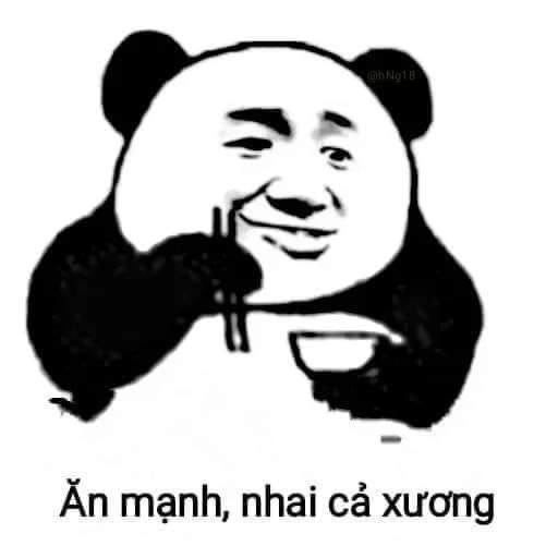 Meme hài gấu trúc mang đến những phút giây thư giãn với biểu cảm ngộ nghĩnh.