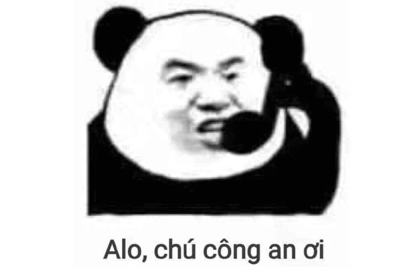 Meme gấu hài hước là lựa chọn tuyệt vời để giải trí và thư giãn.