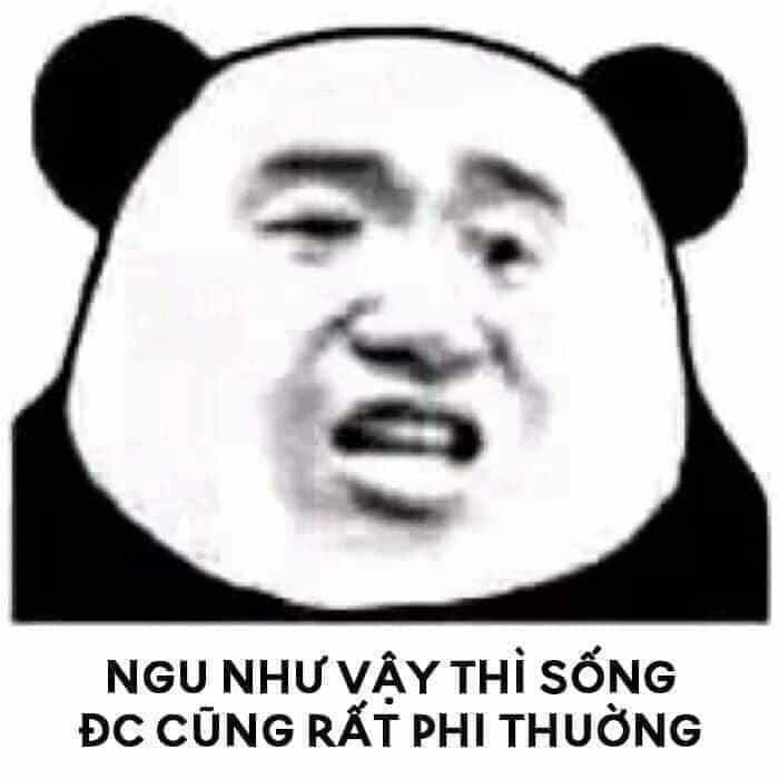 Meme gấu trúc ngạc nhiên khiến mọi người phải cười thả ga với biểu cảm độc đáo.