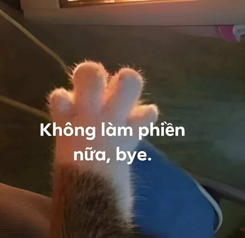 Bye bye mewing meme hài hước và rất sáng tạo.