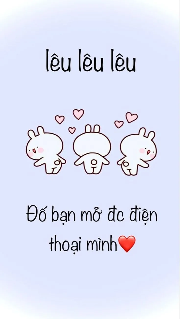 Hình nền mèo meme, ngộ nghĩnh siêu đáng yêu.