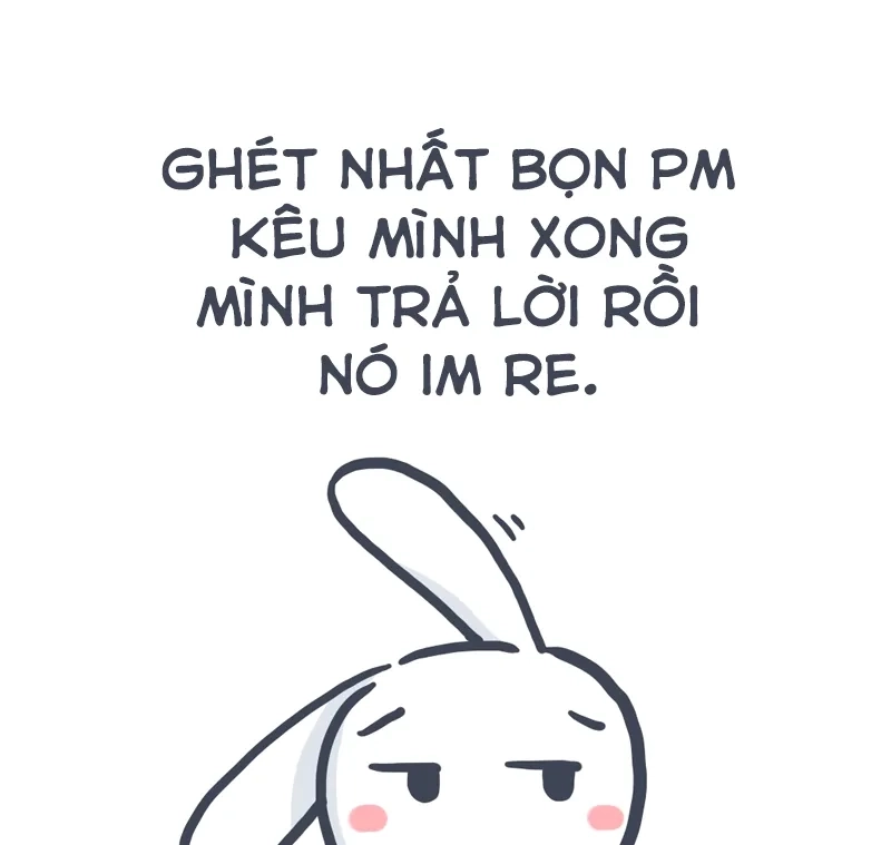 Meme thỏ cạp đầu khiến bạn không thể ngừng cười với tình huống dễ thương này.