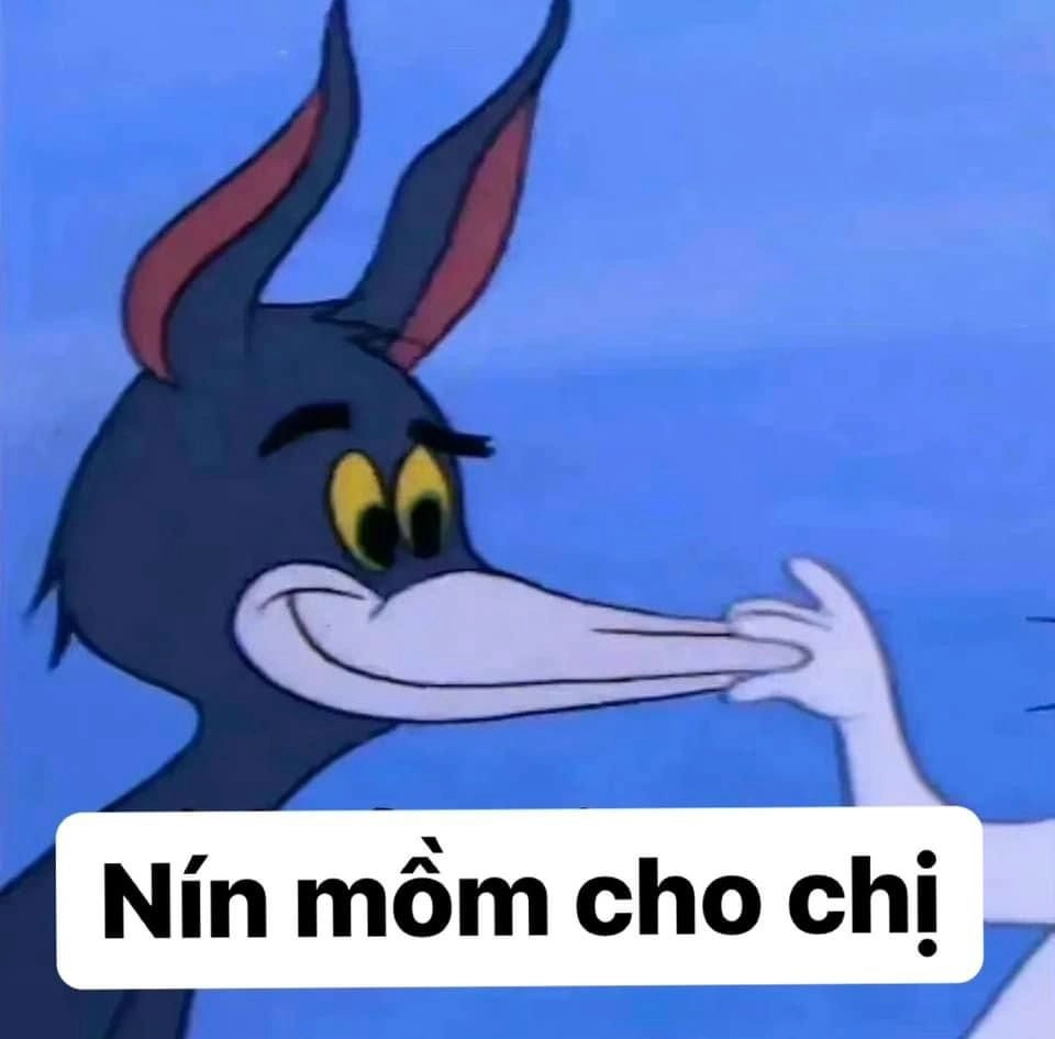 Meme bựa ảnh mèo hài hước, niềm vui không giới hạn.