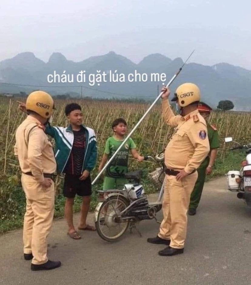 Cười nhếch mép ảnh chế meme mèo bựa, hài hước khó quên.