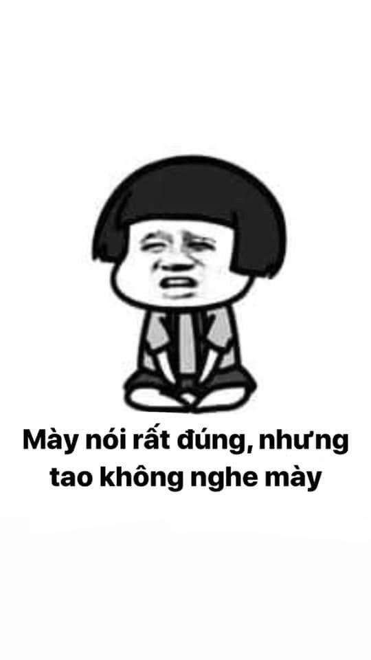 Cười ngất với ảnh meme hài hước bựa, siêu đáng yêu.