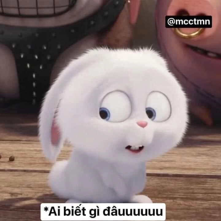 Ảnh meme hài bựa ko chữ, cực thú vị và ngộ nghĩnh.