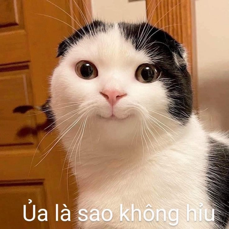 Meme chế hài hước ảnh chế bựa, cực chất và hài hước.