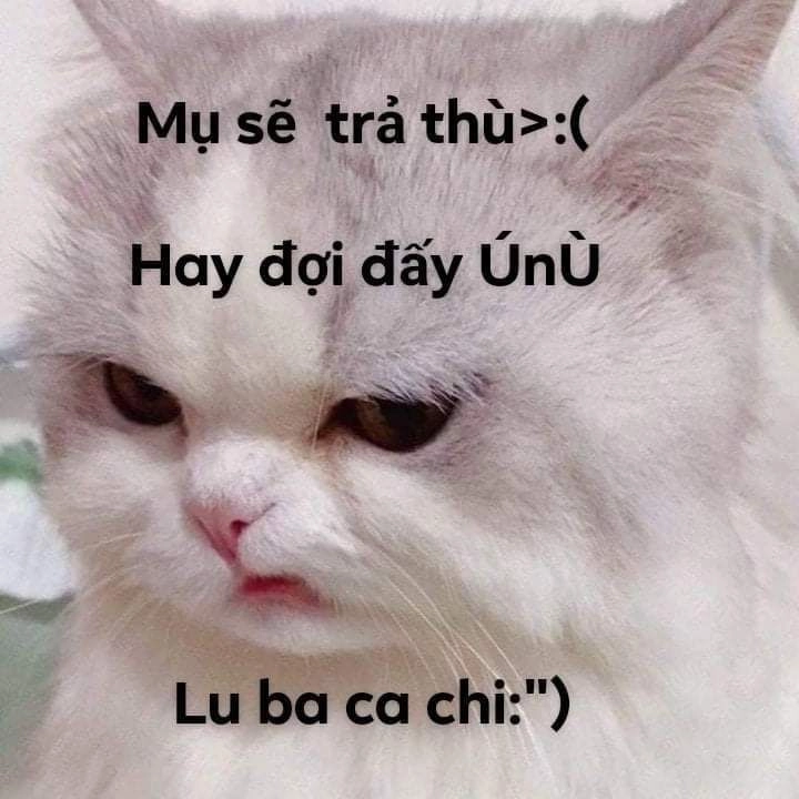 Chế hài bựa ảnh chế meme hài bựa, cực vui nhộn.