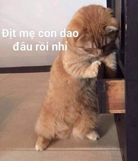 Meme doge cầm súng kết hợp giữa sự bất ngờ và hài hước làm bạn không thể nhịn cười.