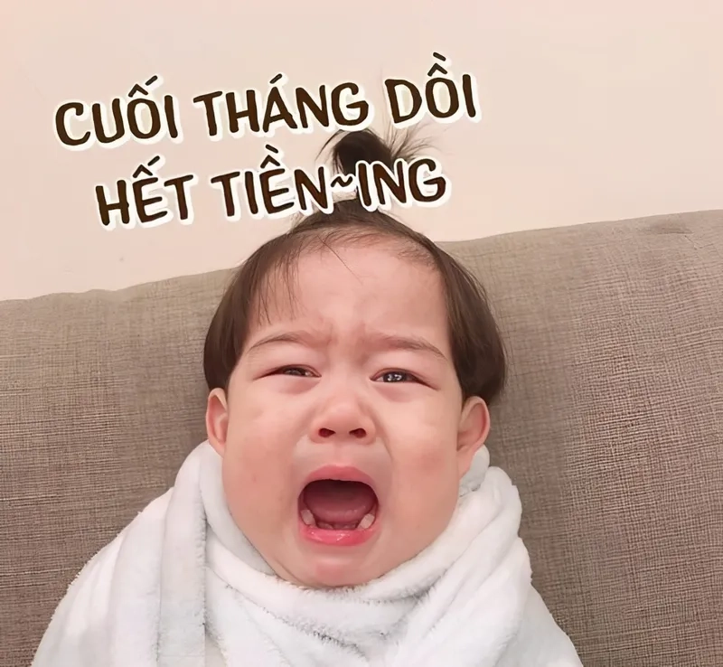 Tiền đâu meme gây cười, châm biếm nhẹ nhàng.