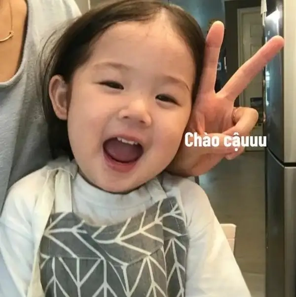 Chào ngày mới meme chào đón ngày mới thật vui vẻ.