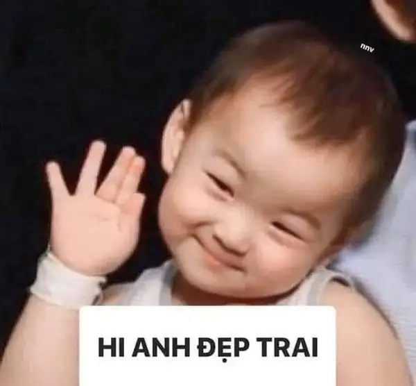 Mèo chào meme với biểu cảm hài hước.