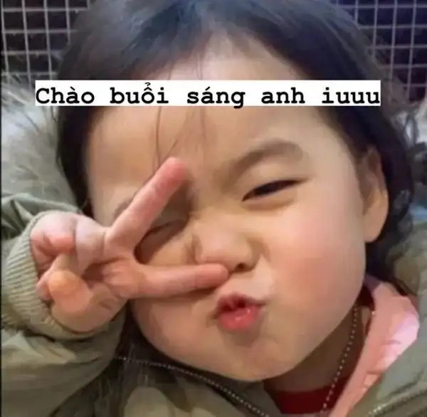 Meme mèo chào tạm biệt đầy hài hước.