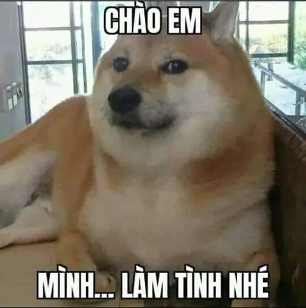 Ảnh chào meme đơn giản mà vui nhộn.