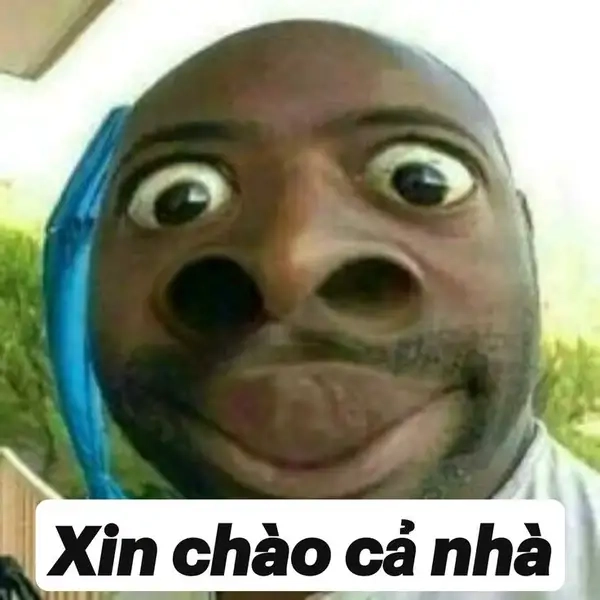 Hình meme xin chào tạo ấn tượng thật độc đáo.