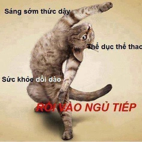 Em chào đại ca meme ngầu và hài hước.