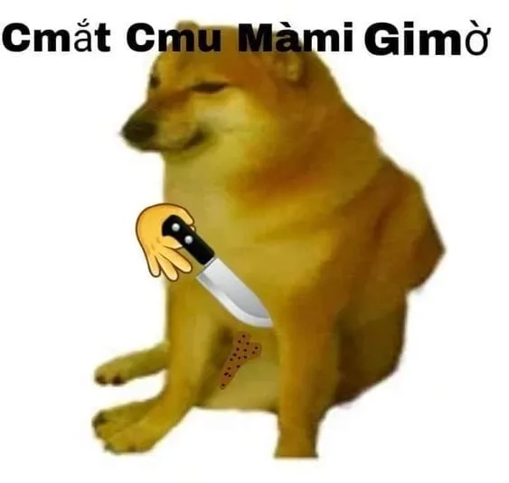 Shiba inu meme coin tạo nên cơn sốt trên internet, gây chú ý mạnh mẽ.