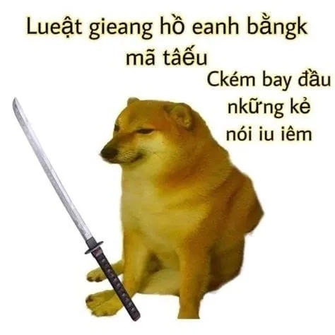 Shiba meme chó shiba luôn tạo ra những khoảnh khắc thú vị và đáng yêu.