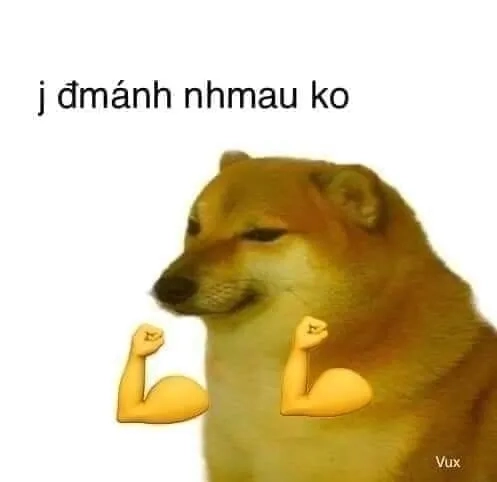 Niềm vui bất tận từ hình ảnh meme cheems.