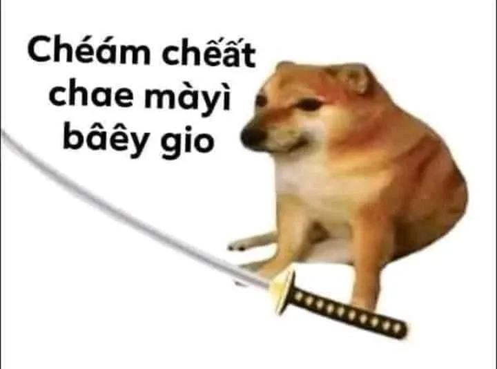 Dogs meme là những khoảnh khắc vui nhộn và dễ thương của chó trong các meme.