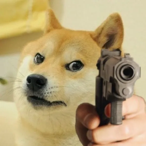 Cheems doge meme là sự kết hợp giữa cheems và doge trong các tình huống vui nhộn.