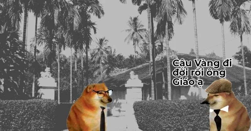 Doge shiba inu dog meme là chú chó Shiba Inu trong phong cách meme cực kỳ dễ thương và nổi tiếng.