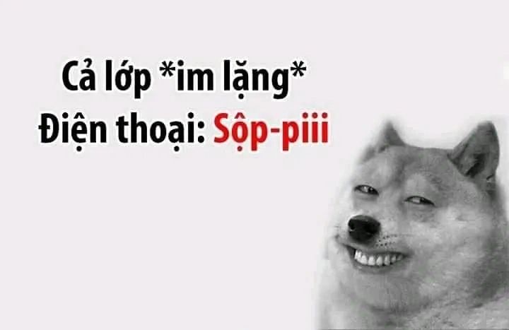 Dog shiba meme khiến bạn không thể nhịn cười với những tình huống hài hước.