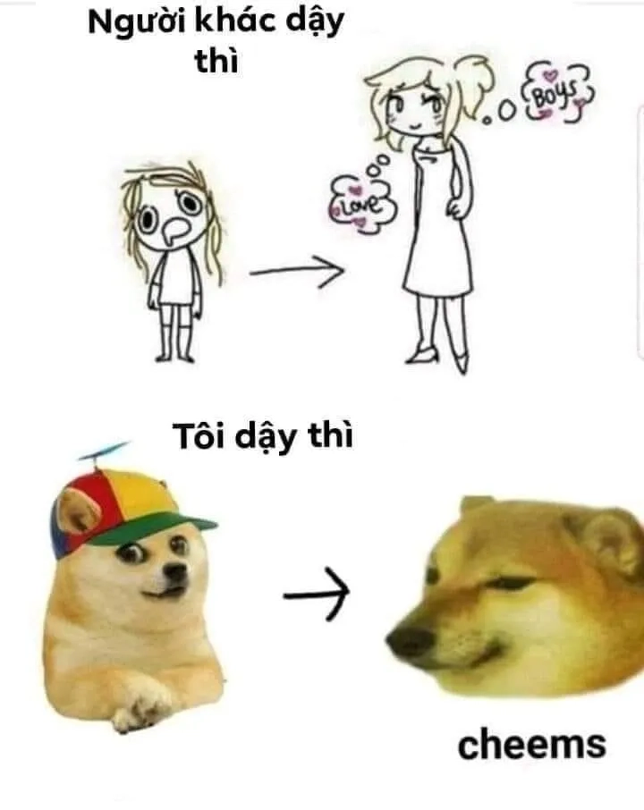 Meme shiba inu với biểu cảm đáng yêu, luôn làm người xem phải cười.