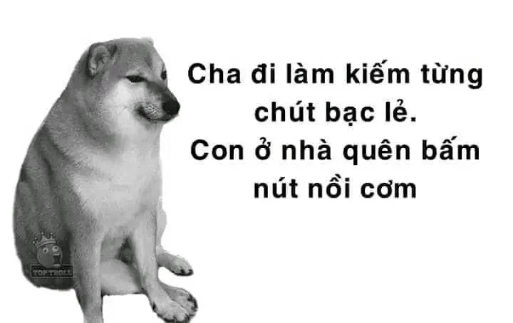 Vui nhộn bất tận từ rạp xiếc meme cheems chúa hề.