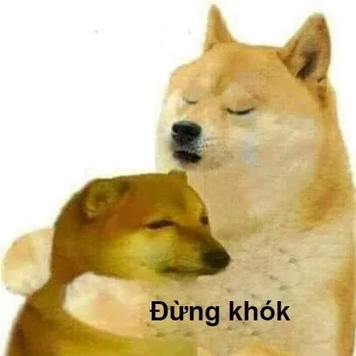 Hình doge meme là biểu tượng của Doge trong các khoảnh khắc cực kỳ đáng yêu.