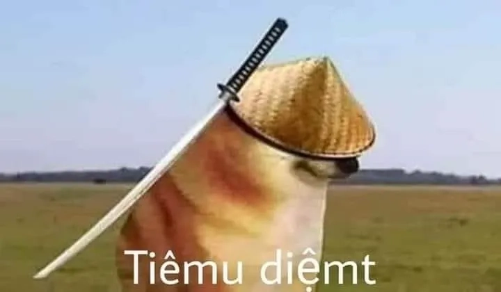 Shiba inu meme coin tạo nên cơn sốt trên internet, gây chú ý mạnh mẽ.