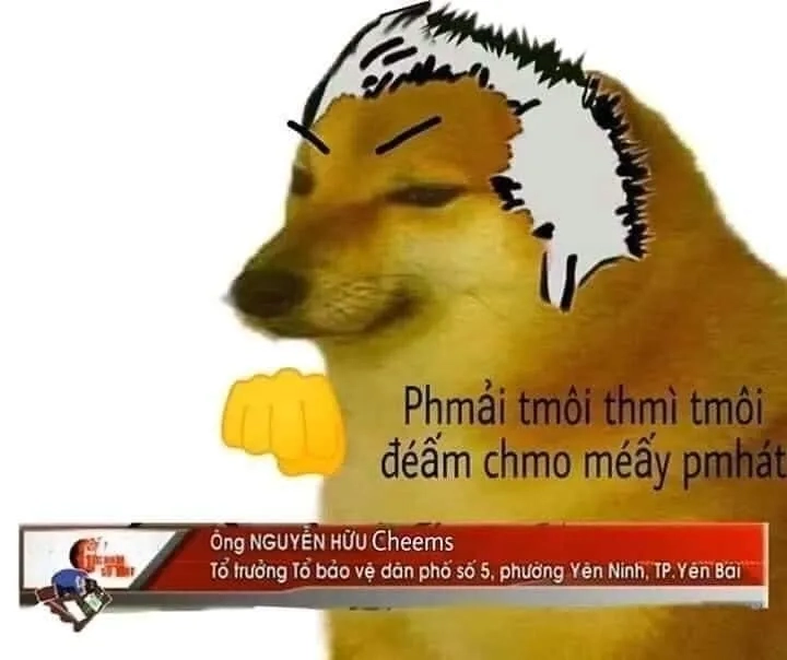 Khoảnh khắc vui nhộn từ meme cheems ảnh mèo cầm phóng lợn.