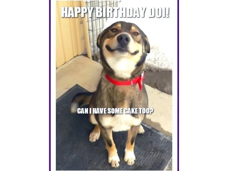 Happy birthday meme gif, hình động cực kỳ thú vị.