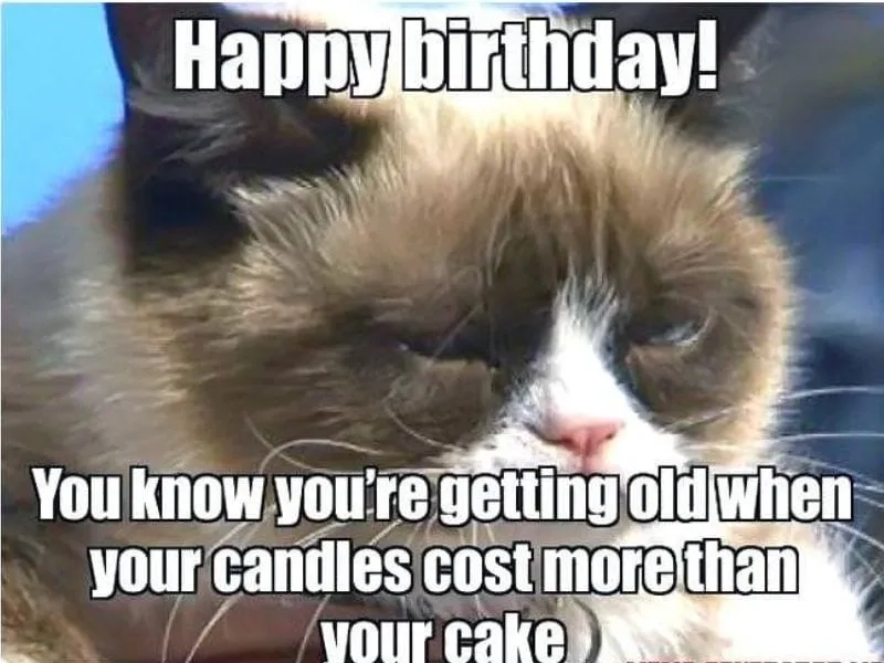 Funny happy birthday meme, khiến bạn bật cười không ngớt.