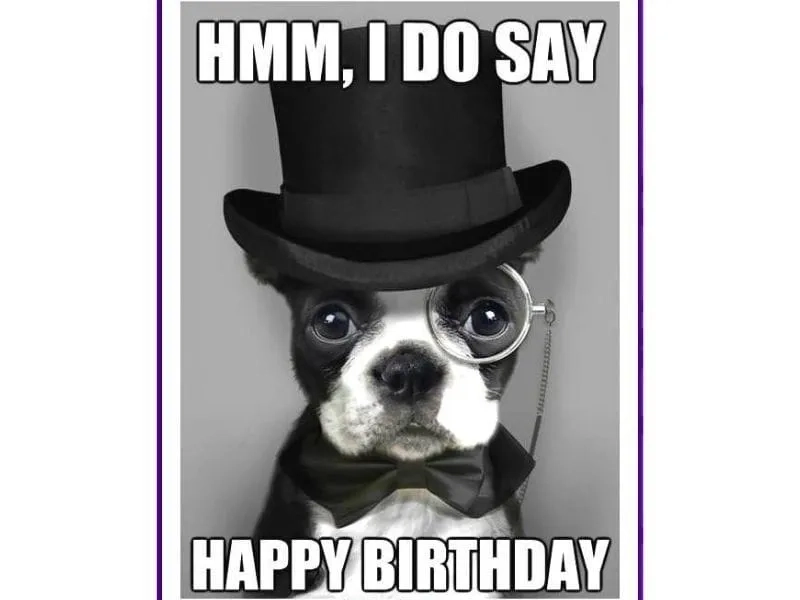 Happy birthday gif meme, sinh động và thú vị.