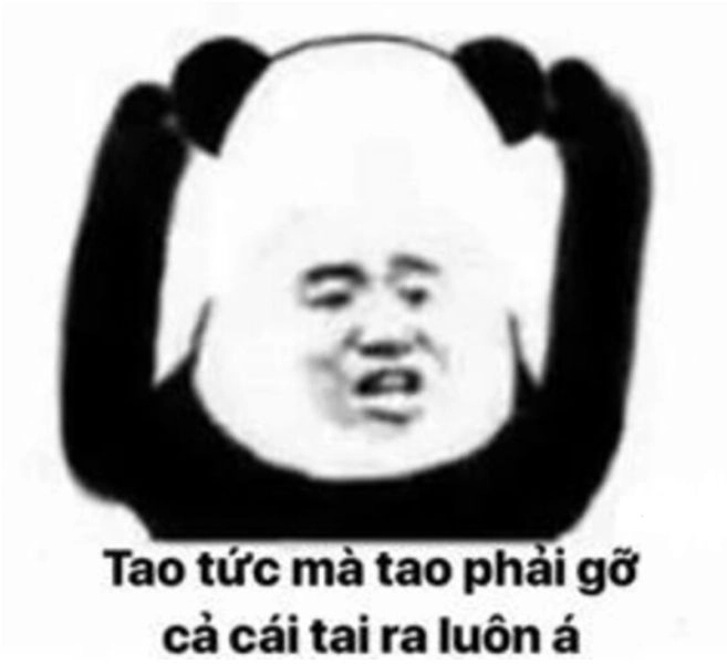 Meme chửi bạn là meme về những cuộc tranh cãi vui nhộn giữa bạn bè.