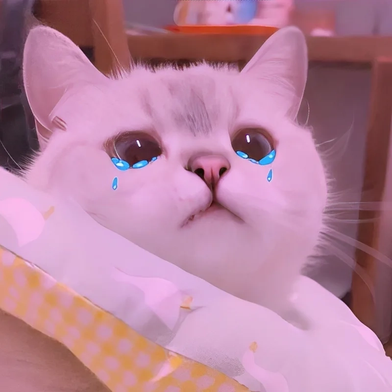 Pepe crying meme nổi bật với biểu cảm ngộ nghĩnh của chú ếch Pepe.