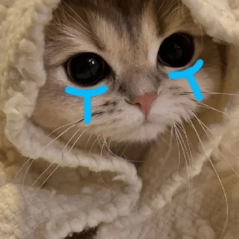 Crying jerry meme đáng yêu với biểu cảm khóc lóc của Jerry.