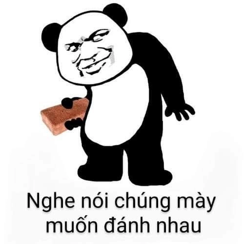 Meme đánh nhau không khiến bạn bật cười vì sự ngộ nghĩnh!