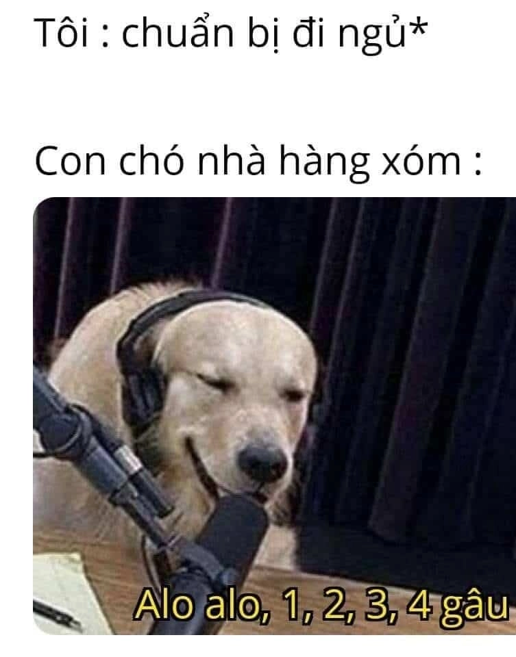 Meme ngủ đi hài hước và độc đáo.